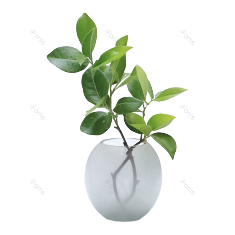 叶子图片,摄影元素,白色背景PNG,简单免抠素材